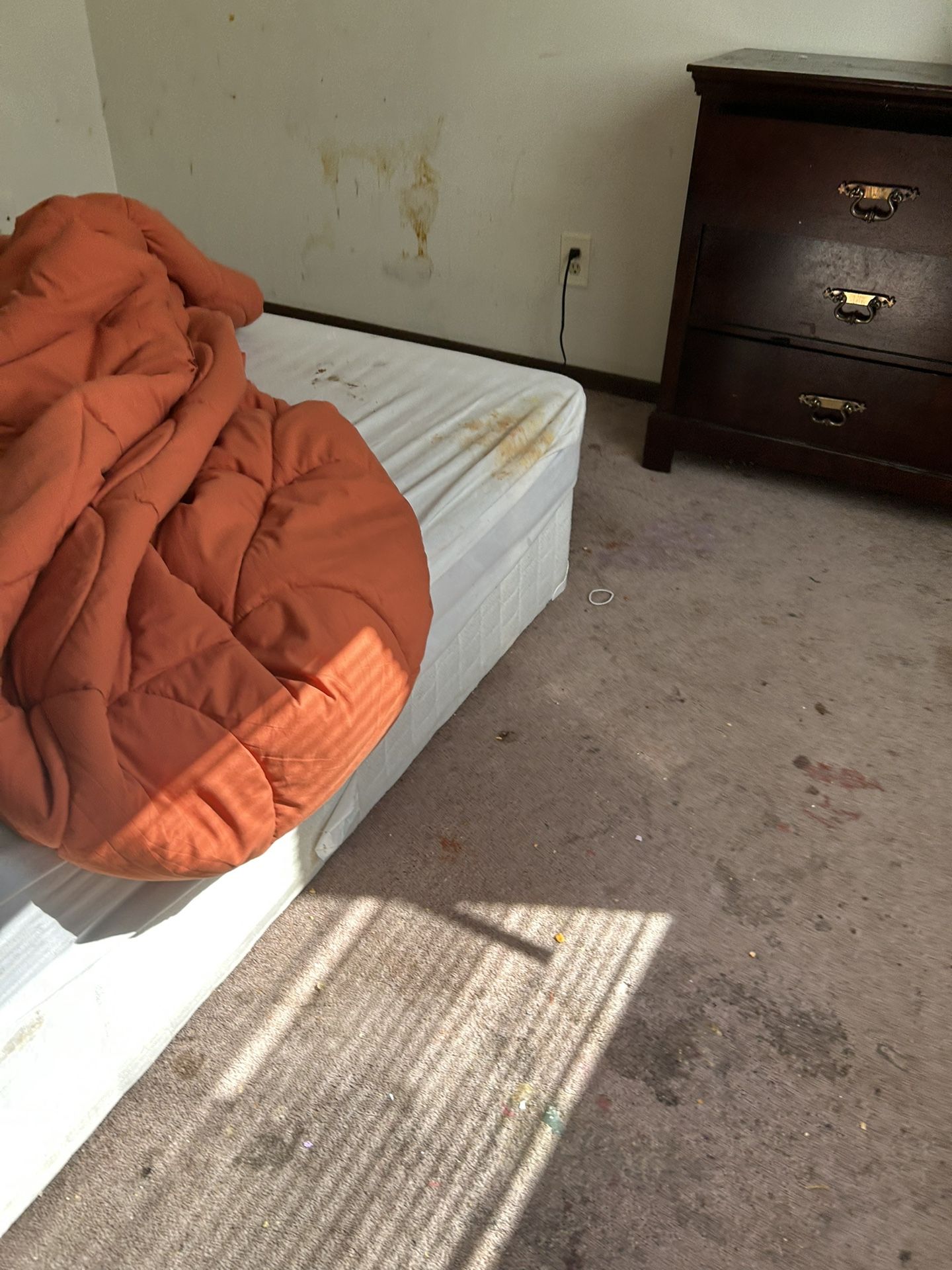 Extra Large Bed Sheet
