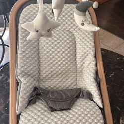 Baby Bouncer 