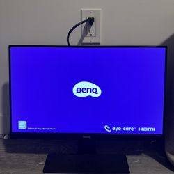 BenQ Gaming Monitor