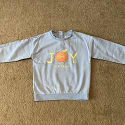 Toddler Girls Sweatshirt And Long Sleeve Shirt Size 3T-4T