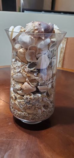 Big vase with local seashells