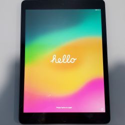 10.2" Apple iPad and BRAECN iPad Case