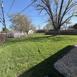 Lawnmower care