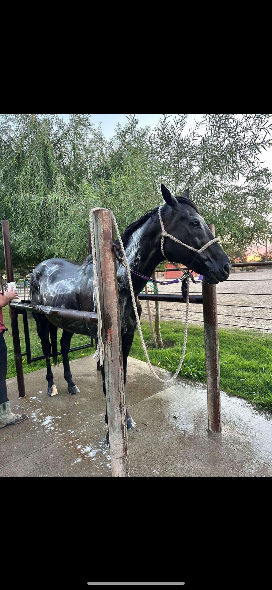 Wash Station
