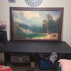 Beautiful Wooden Frame Picture For Sale