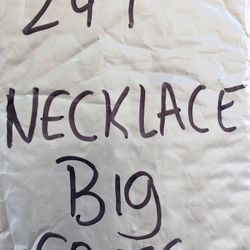 Necklace Unclaimed Internet Purchase #278