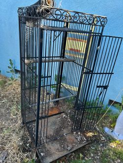 Two Bird cages