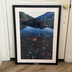 Signed and framed Raymond Gehman photograph