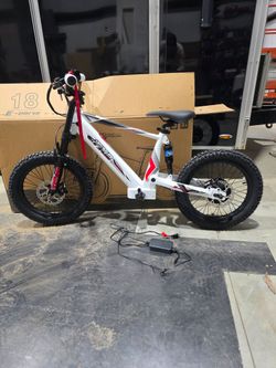 18" fxb 36v electric balance bike new e bike