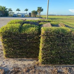 Fresh Sod Delivered