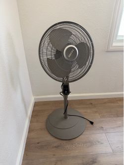 Fan