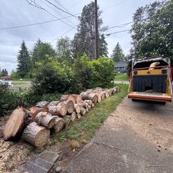 Free Wood!