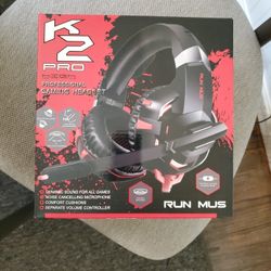 New Gaming Headset 