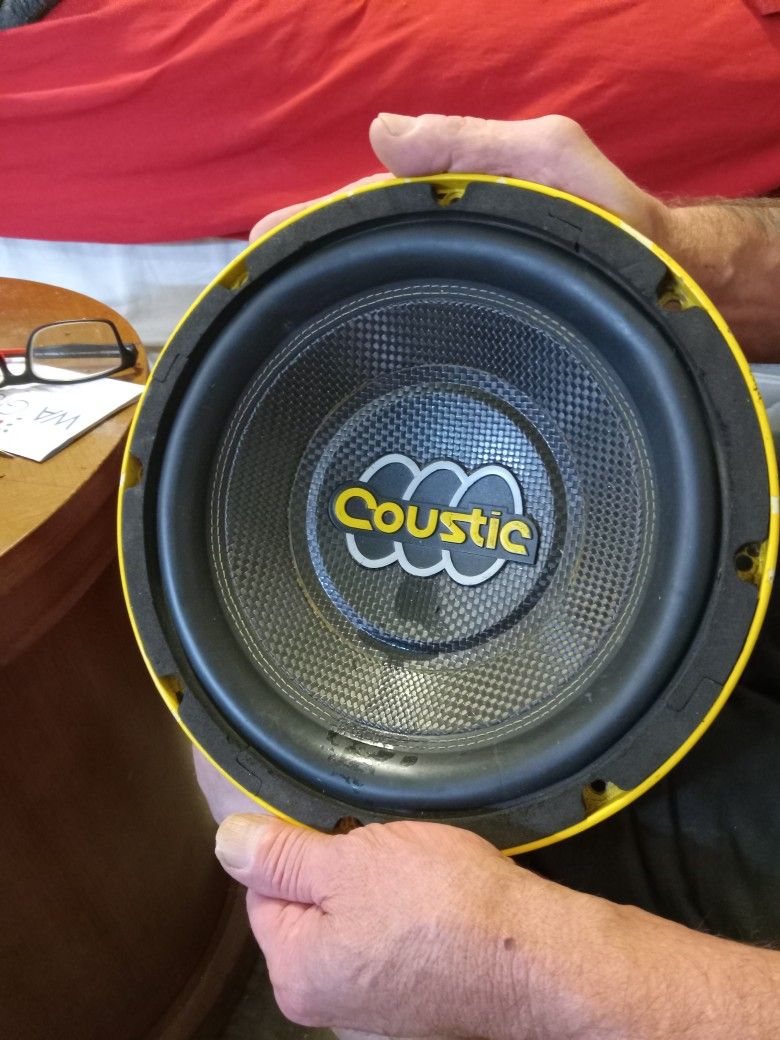 Caustic Car Speaker