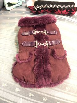 Purple dog coat