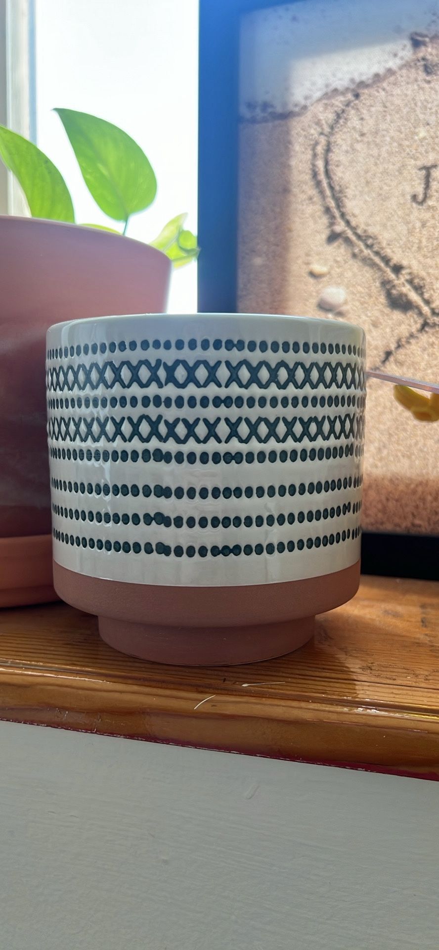 Plant Pot