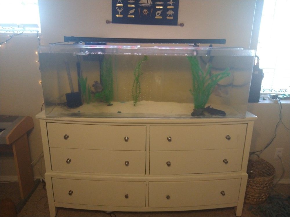 110 Gallon Acrylic Fish Tank W/Stand