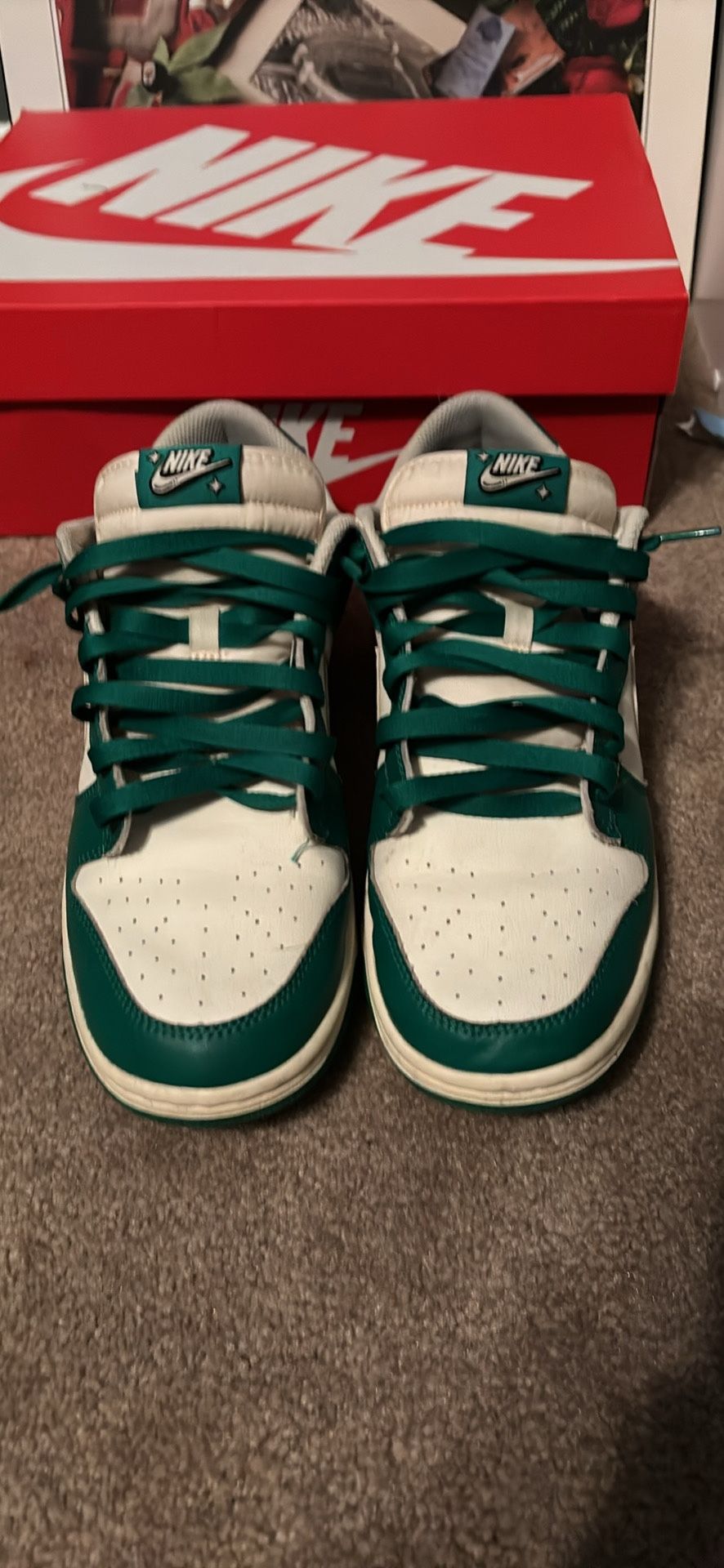 Nike Lottery Dunks 