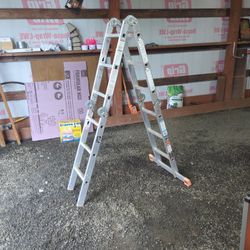 Krause MultiMatic 12' Ladder