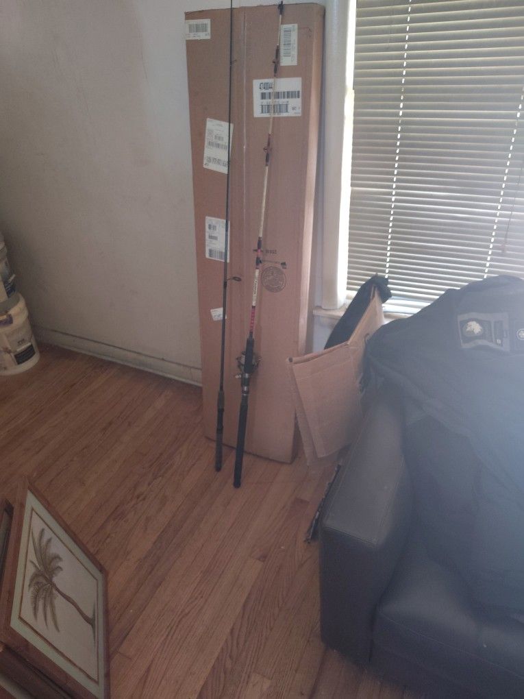 2 Fishing Poles