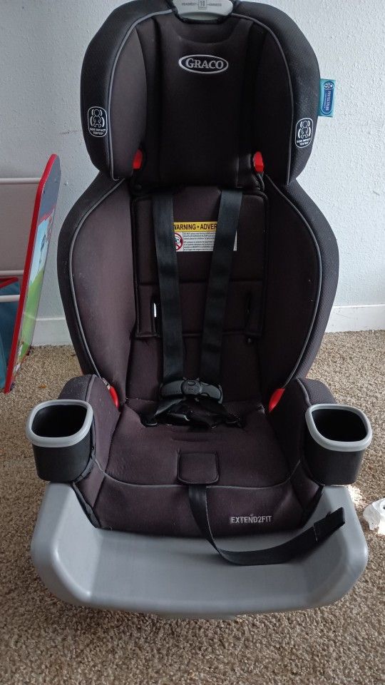 Graco Grow With Me Car Seat 