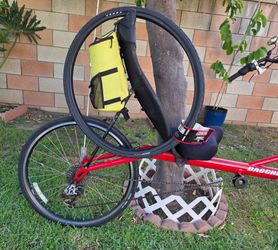 Bacchetta Recumbent Bike Red