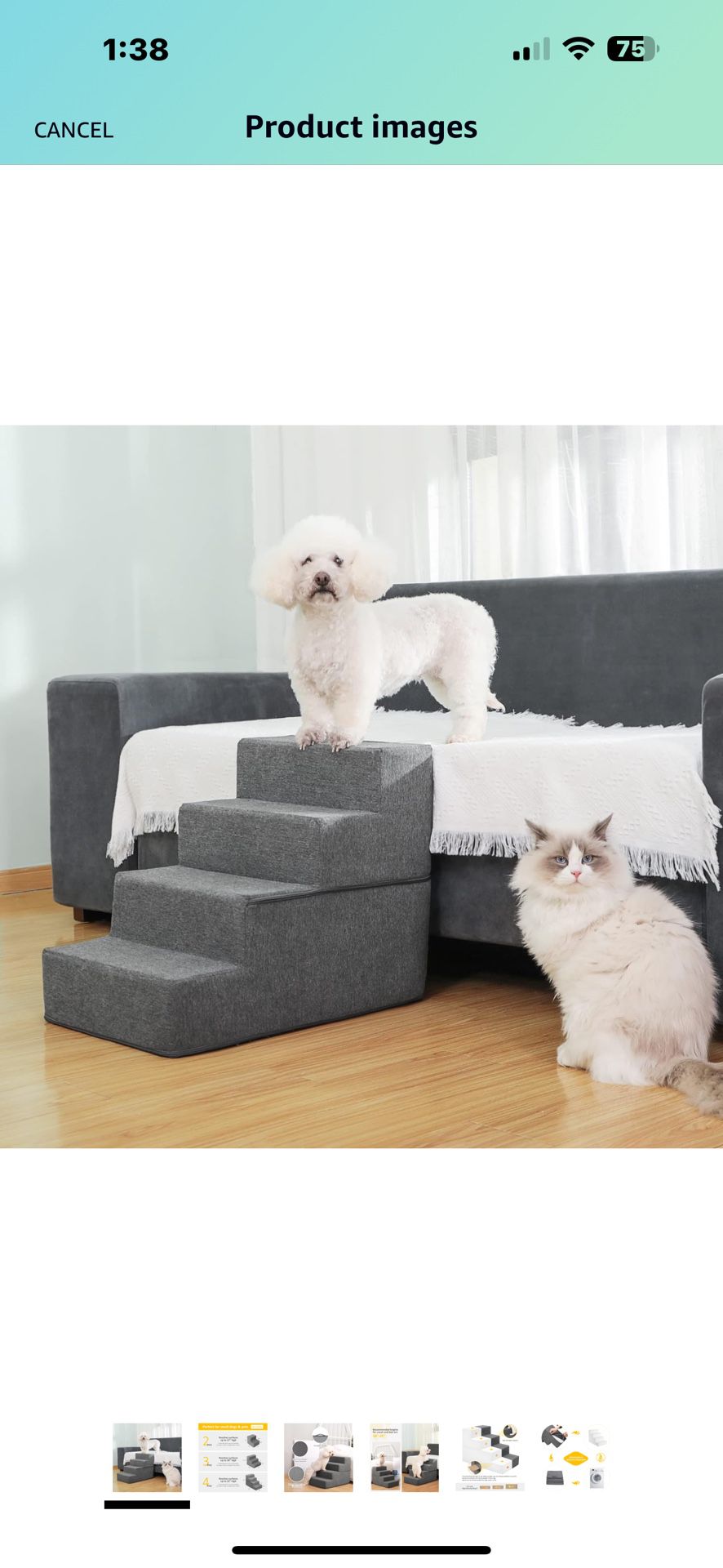 Dog Cat Stairs 