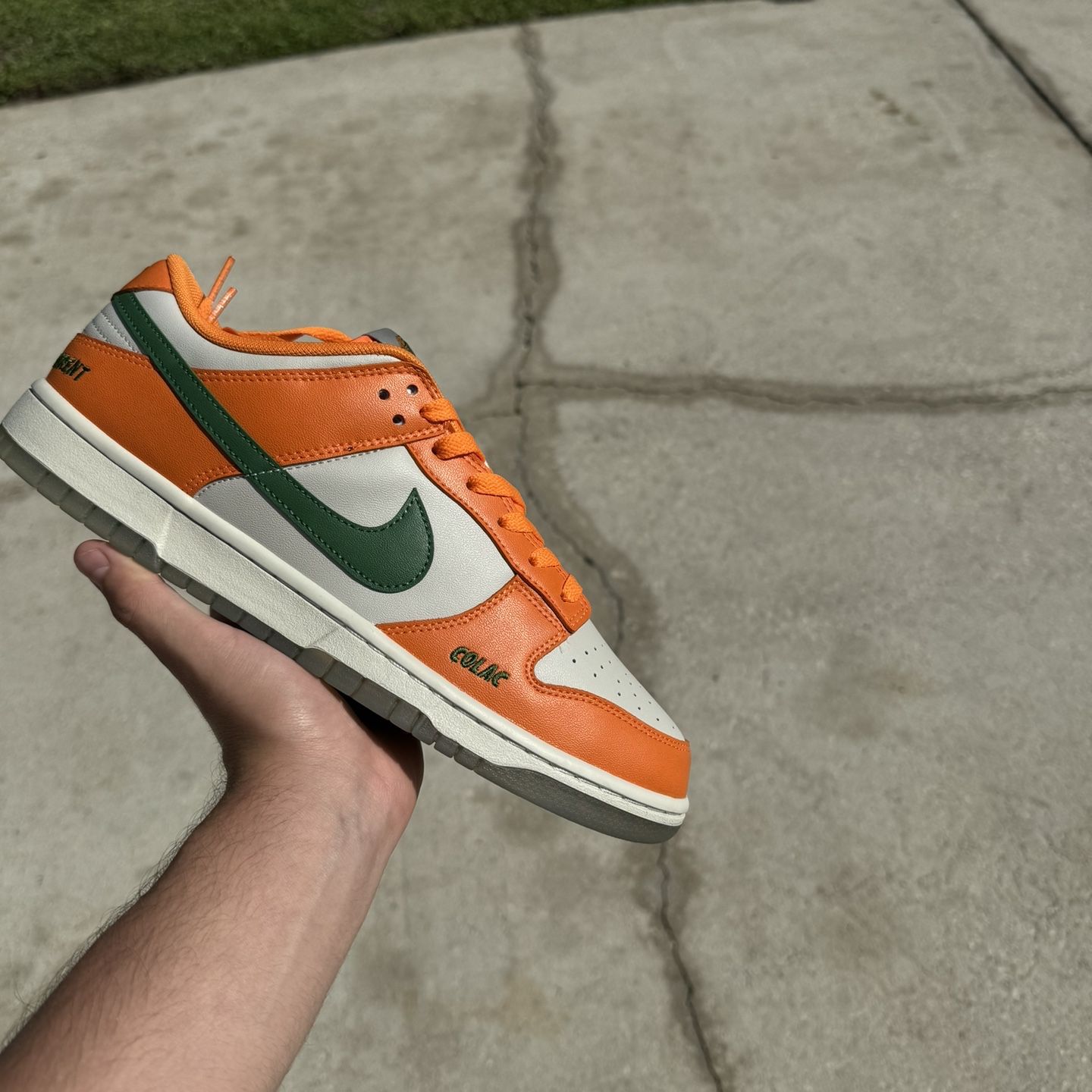 Nike Dunks “FAMU”