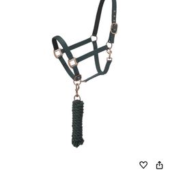 Padded  Halter W/lead