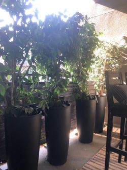 Sleek Matte Black Planter set of 4