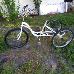 Aluminum Frame, Back Brakes Work, (Rust) Pretty Much Everything That Isn't Aluminum. Rolls Freely,Seat ????h