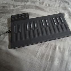 Roli Seaboard Mini Block MIDI Controller W/ MIDI Controller Block