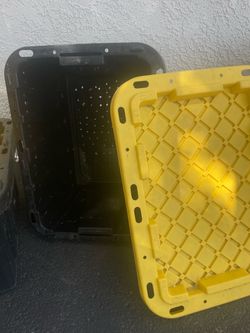 Worm Compost Bin - Free