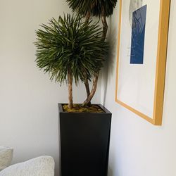 Big & Tall Faux Plant & Planter