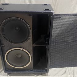 Bass Speaker
