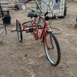 Tricycle