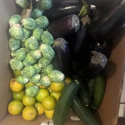 Free  Fresh Veggies !!