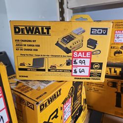 20v Dewalt Charging Kit 
