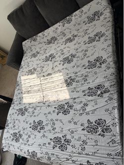 Sectional Couch w/ pullout bed