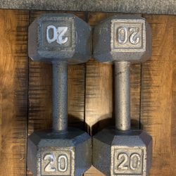 20lb Dumbbells 