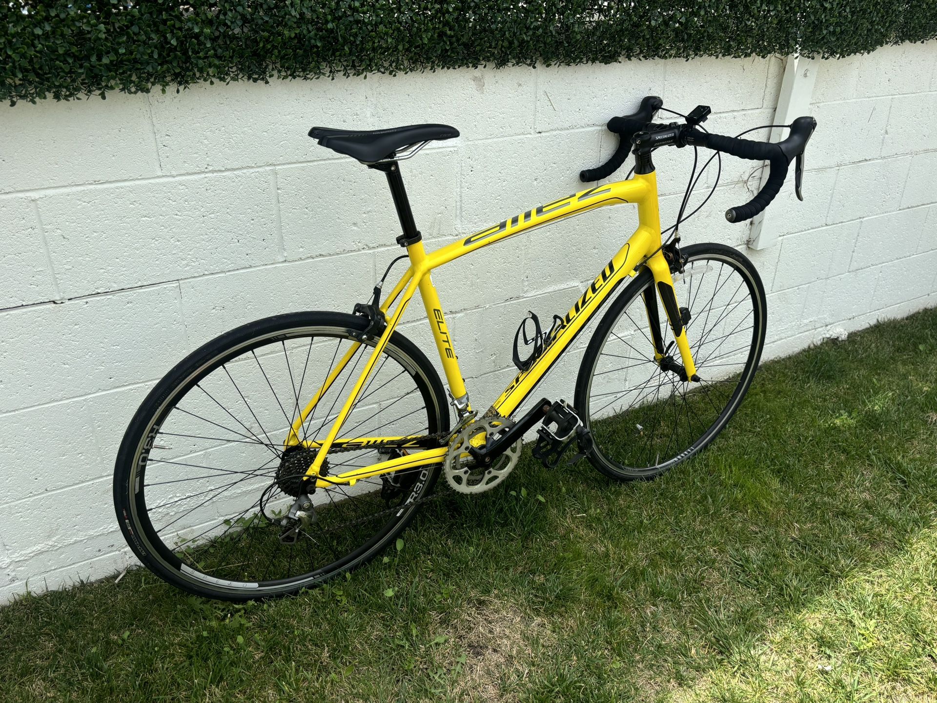 Specialized Elite Road Bike Size 58