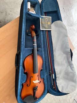 Viola