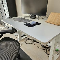 [Move sale] Standing desk