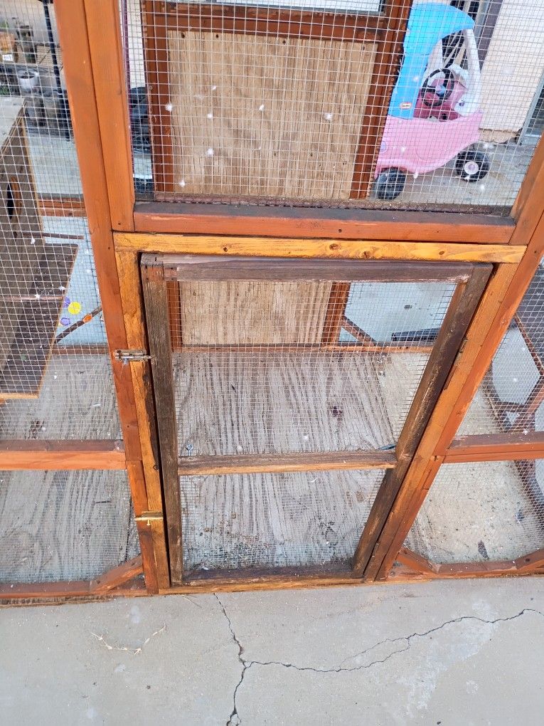 Bird Cage