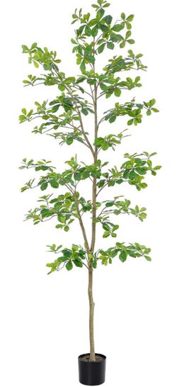 7ft (84") Tall Black Olive Tree with Natural Trunk and Realistic Leaves in Black Weighted Planter.