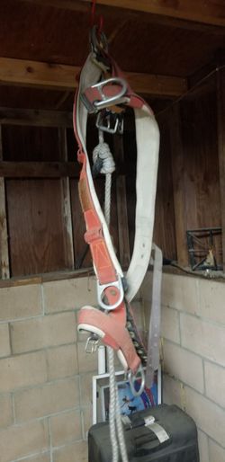 Climbing Harness