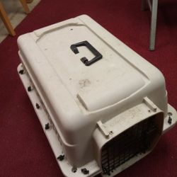 Plastic Bargain Hound  - Cat Case
