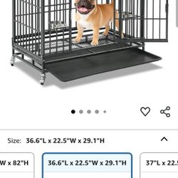 Dog Kennel