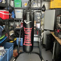 Punching Bag With Stand And Gloves