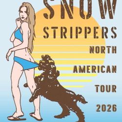 Snow Strippers